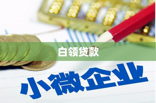 阜新白领贷款