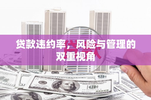 宝山贷款违约率，风险与管理的双重视角