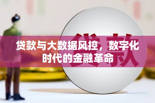 景县贷款与大数据风控，数字化时代的金融革命