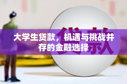 利辛大学生贷款，机遇与挑战并存的金融选择