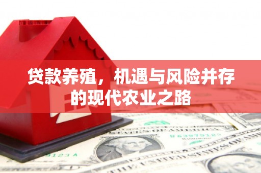 东安贷款养殖，机遇与风险并存的现代农业之路