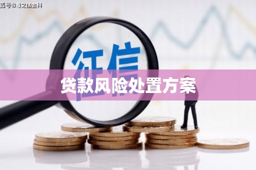 宣威贷款风险处置方案