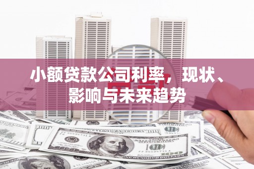 振兴小额贷款公司利率，现状、影响与未来趋势