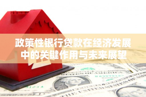 定陶政策性银行贷款在经济发展中的关键作用与未来展望