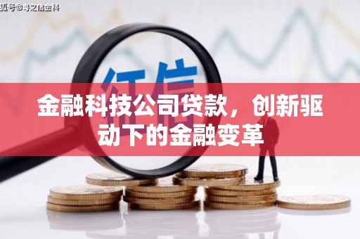 泰顺金融科技公司贷款，创新驱动下的金融变革