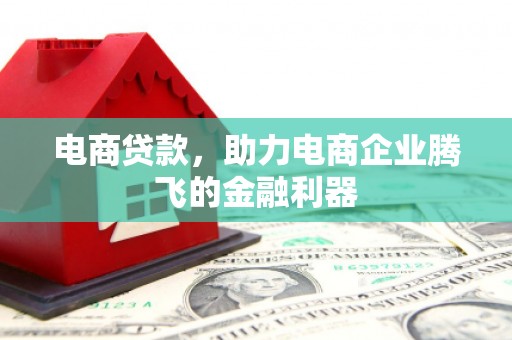 莱西电商贷款，助力电商企业腾飞的金融利器