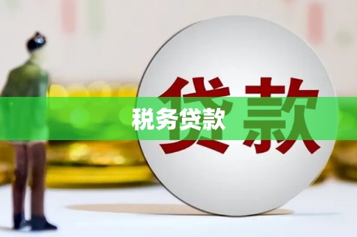 郴州税务贷款