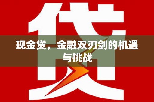 岳西现金贷，金融双刃剑的机遇与挑战