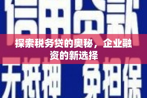 岳塘探索税务贷的奥秘，企业融资的新选择