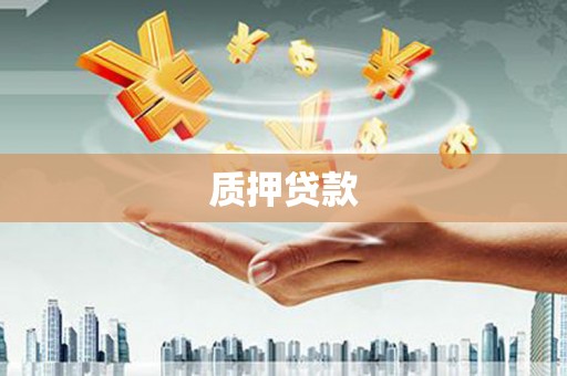 源汇质押贷款