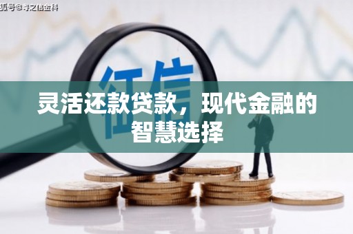 禅城灵活还款贷款，现代金融的智慧选择