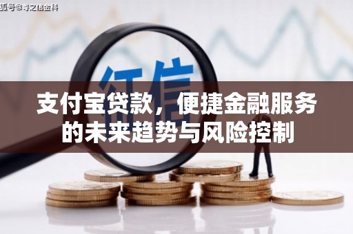 山海关支付宝贷款，便捷金融服务的未来趋势与风险控制