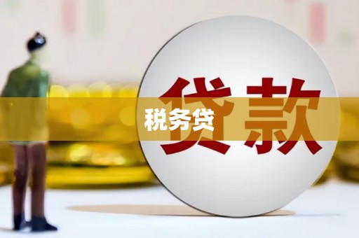 麟游税务贷