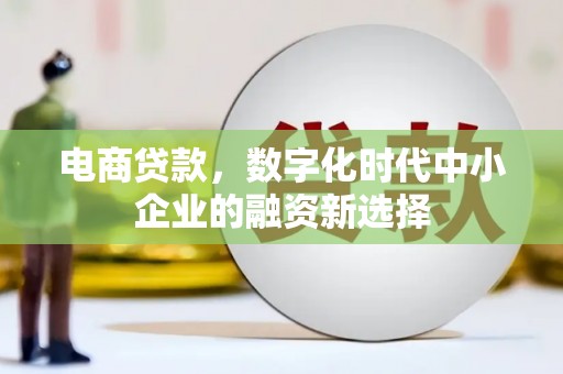 平度电商贷款，数字化时代中小企业的融资新选择