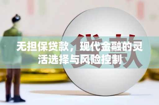 岚皋无担保贷款，现代金融的灵活选择与风险控制