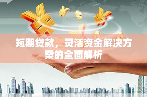 迭部短期贷款，灵活资金解决方案的全面解析