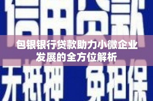 湖北包银银行贷款助力小微企业发展的全方位解析