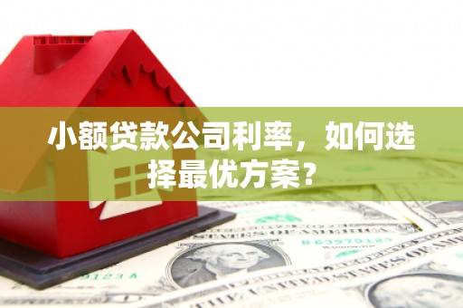 公馆小额贷款公司利率，如何选择最优方案？