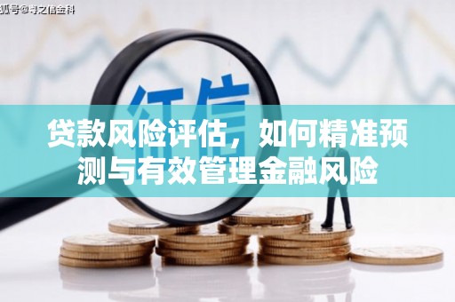 琼结贷款风险评估，如何精准预测与有效管理金融风险