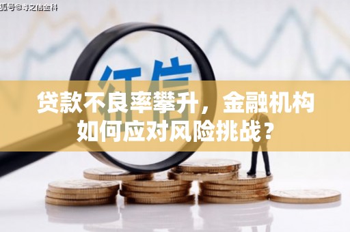 澜沧贷款不良率攀升，金融机构如何应对风险挑战？