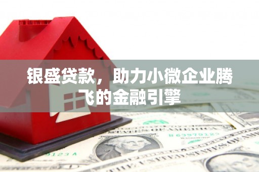 佳冬银盛贷款，助力小微企业腾飞的金融引擎
