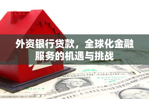青神外资银行贷款，全球化金融服务的机遇与挑战