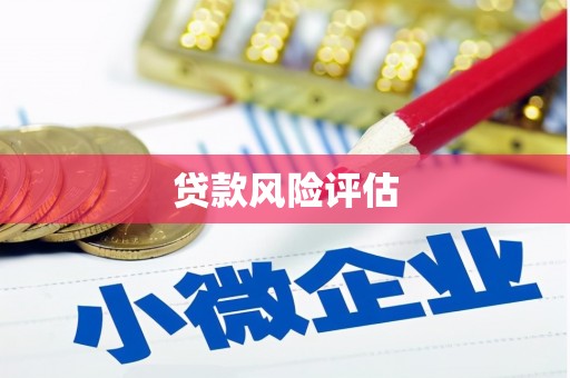 造桥贷款风险评估