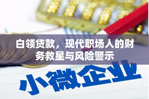 蒲江白领贷款，现代职场人的财务救星与风险警示