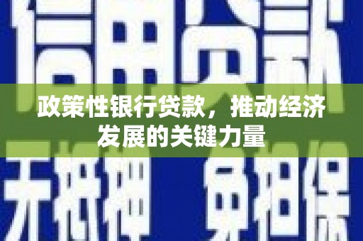 墨江政策性银行贷款，推动经济发展的关键力量