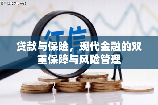 宾川贷款与保险，现代金融的双重保障与风险管理