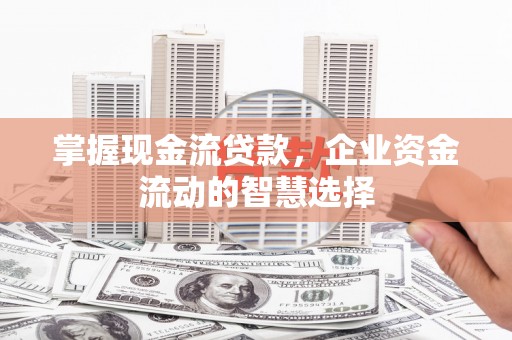 岫岩掌握现金流贷款，企业资金流动的智慧选择