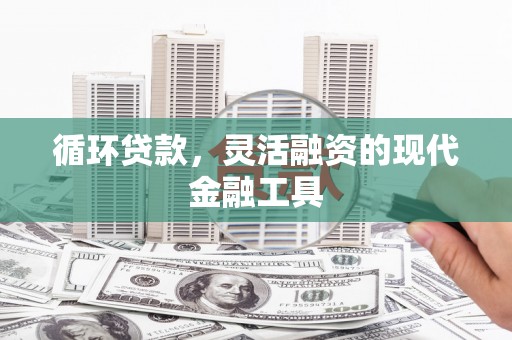 鹿城循环贷款，灵活融资的现代金融工具