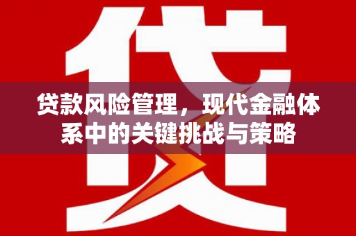 慈利贷款风险管理，现代金融体系中的关键挑战与策略
