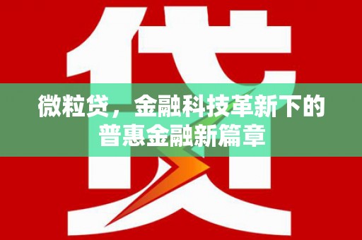 温宿微粒贷，金融科技革新下的普惠金融新篇章