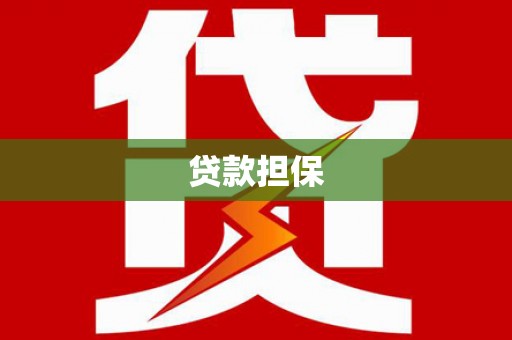 右江贷款担保