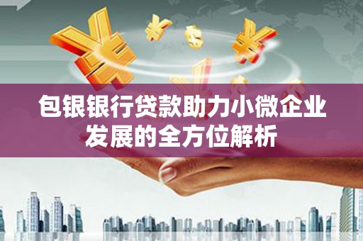 常平包银银行贷款助力小微企业发展的全方位解析