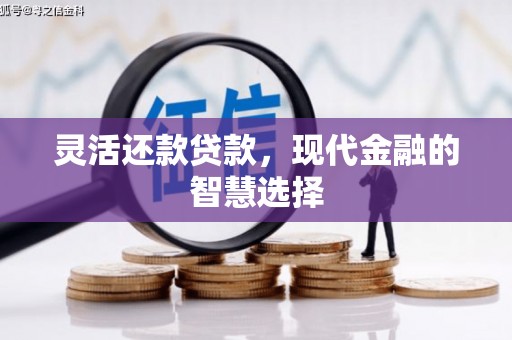 巴塘灵活还款贷款，现代金融的智慧选择
