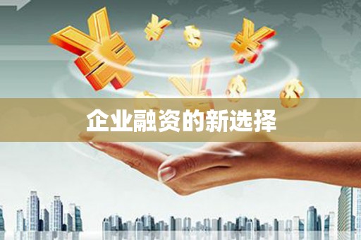寻甸企业融资的新选择