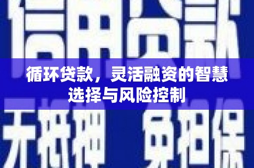 玉树循环贷款，灵活融资的智慧选择与风险控制