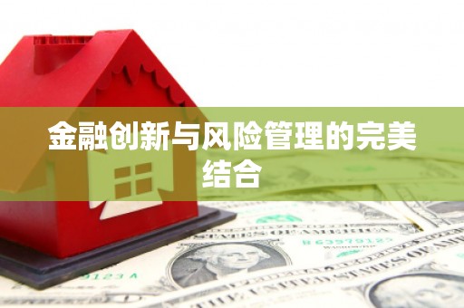 林周金融创新与风险管理的完美结合