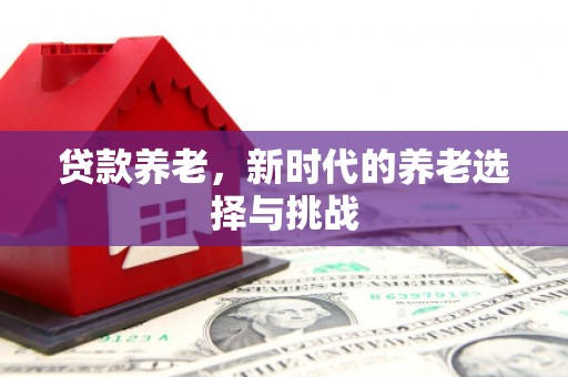 松江贷款养老，新时代的养老选择与挑战