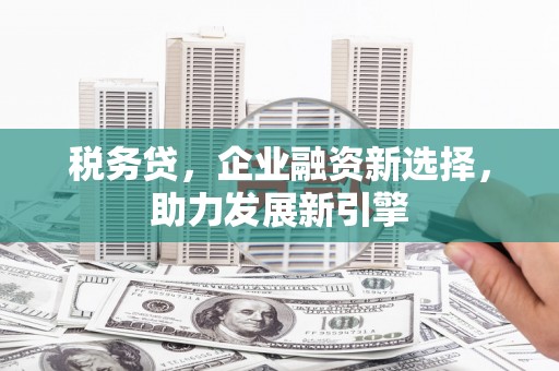 龙城税务贷，企业融资新选择，助力发展新引擎