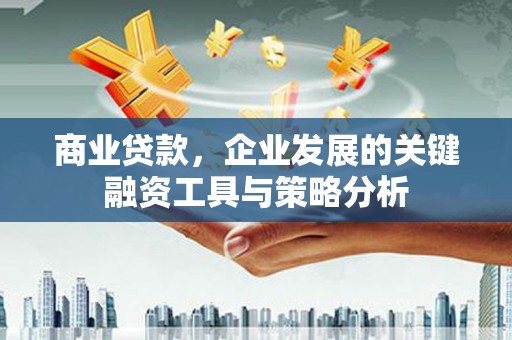 开阳商业贷款，企业发展的关键融资工具与策略分析