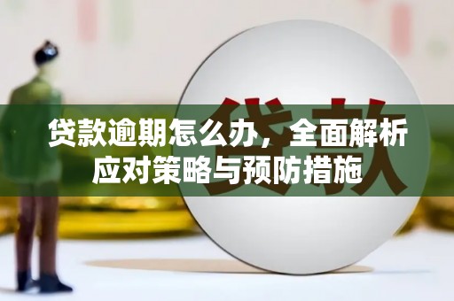 淮上贷款逾期怎么办，全面解析应对策略与预防措施