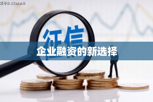 随州企业融资的新选择