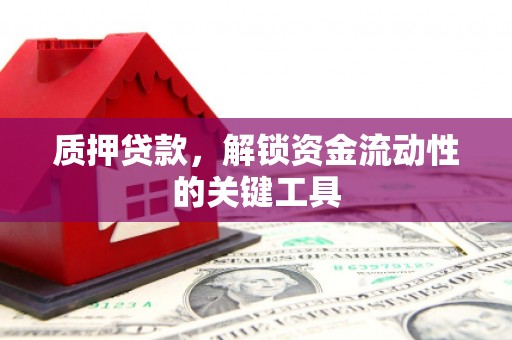 宜兰质押贷款，解锁资金流动性的关键工具