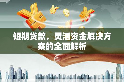 大宁短期贷款，灵活资金解决方案的全面解析