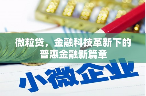 中埔微粒贷，金融科技革新下的普惠金融新篇章