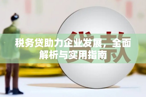 肇东税务贷助力企业发展，全面解析与实用指南