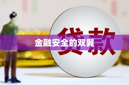 镇康金融安全的双翼